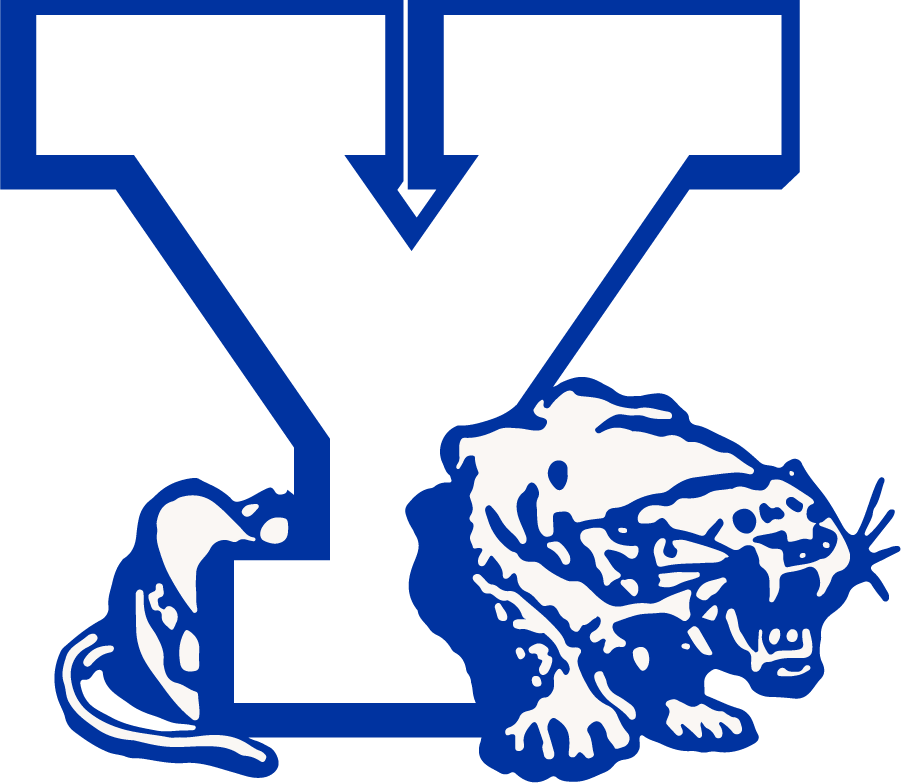 Brigham Young Cougars 1972-1982 Secondary Logo iron on transfers for clothing